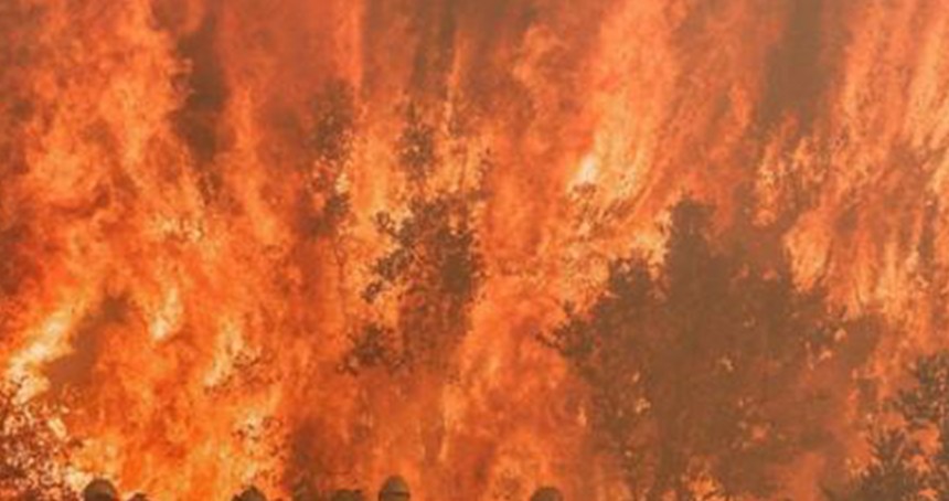 İspanya'da 14 büyük yangın kontrolden çıktı, can kayıpları artıyor