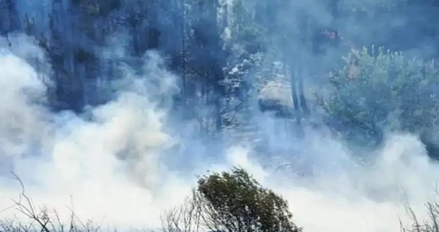 Çanakkale Gelibolu'daki orman yangını kontrol altına alındı