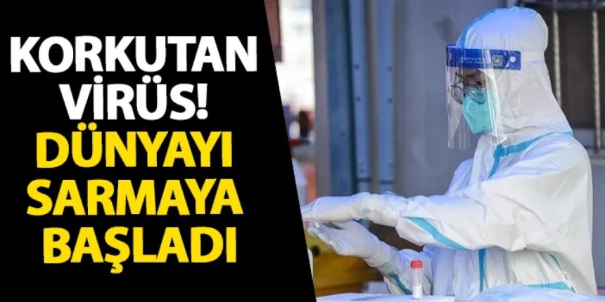 Chikungunya Virüsü 16 Ülkede Hızla Yayılıyor