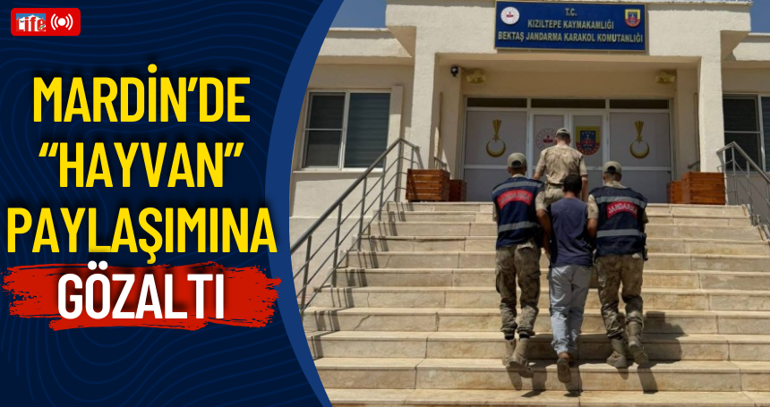 Mardin’de “hayvan” paylaşımına gözaltı