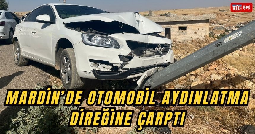 Mardin’de otomobil aydınlatma direğine çarptı