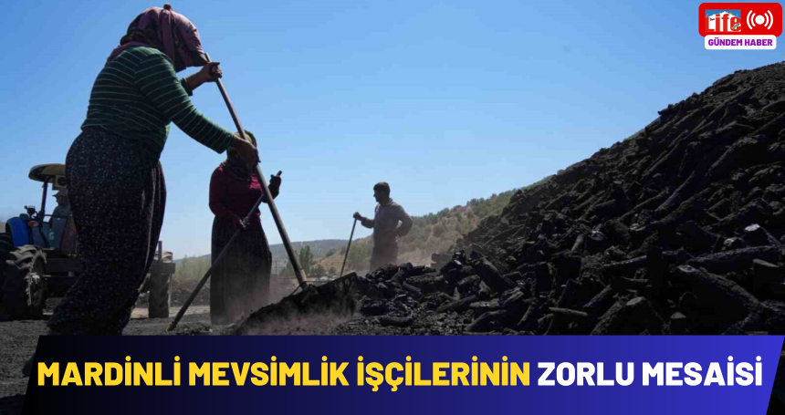 Mardinli mevsimlik  işçilerinin zorlu mesaisi