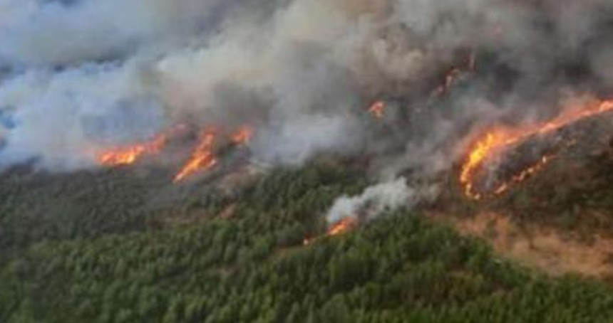 Hakkari'de orman yangını ikinci gününde