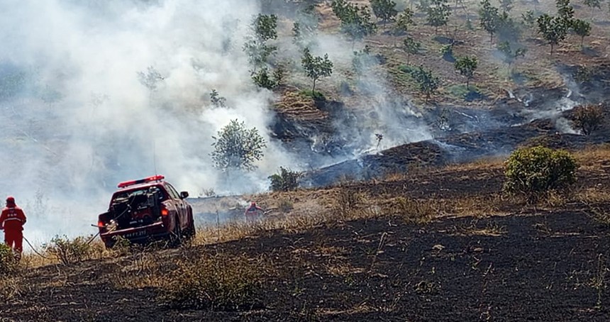 Malatya'da bir orman yangını daha