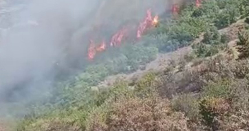 Malatya'da orman yangını
