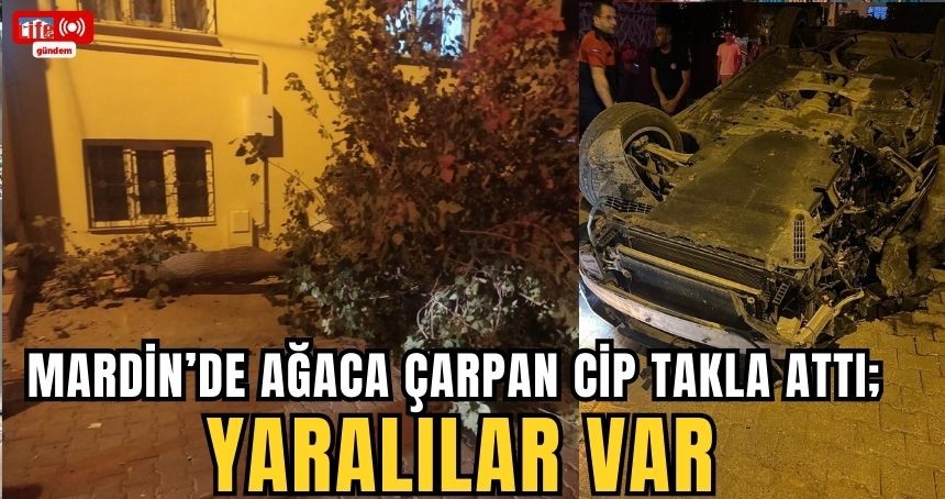 Mardin’de ağaca çarpan cip takla attı; yaralılar var