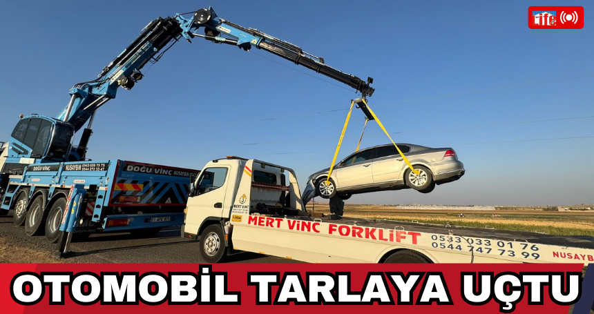 Mardin'de otomobil tarlaya uçtu