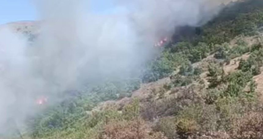 Malatya'daki orman yangını söndürüldü