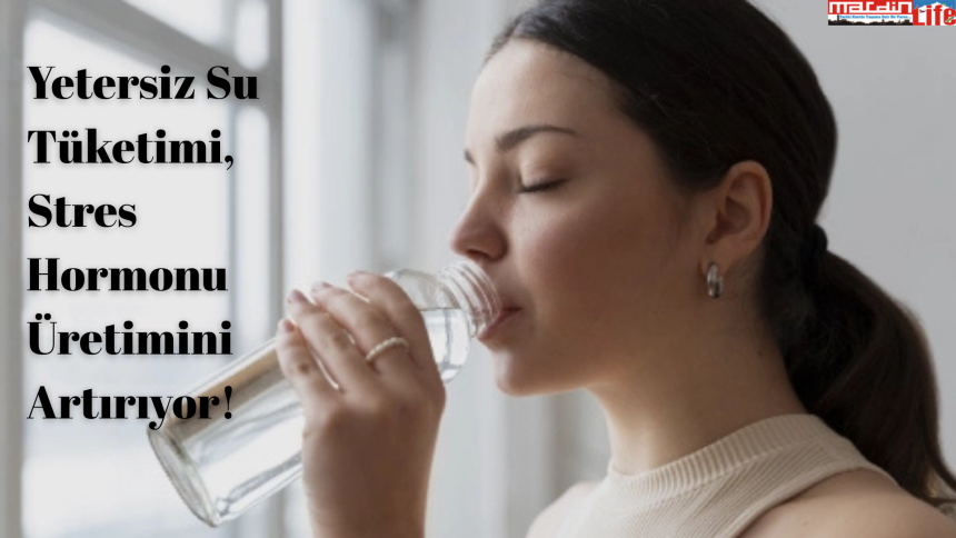 Yetersiz Su Tüketimi, Stres Hormonu Üretimini Artırıyor