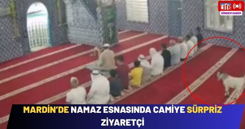 Mardin'de Namaz Esnasında Camiye Sürpriz Ziyaretçi