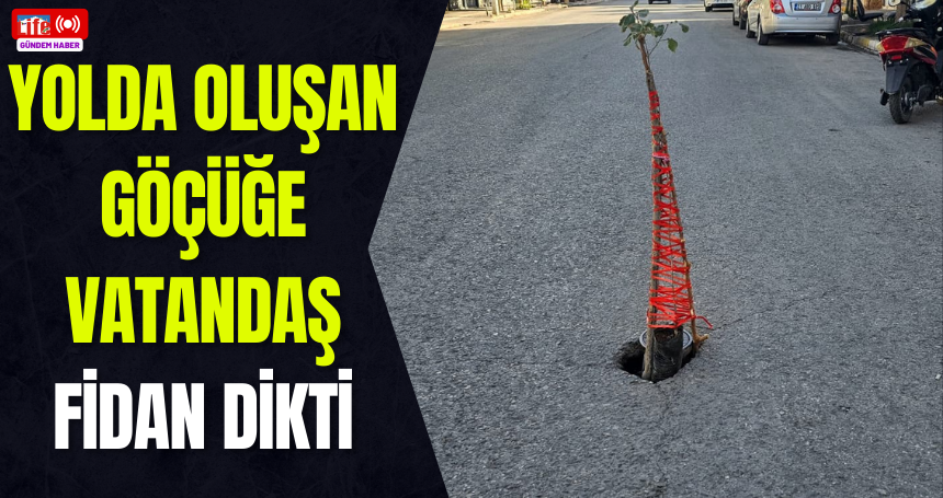 Yolda oluşan göçüğe vatandaş fidan dikti