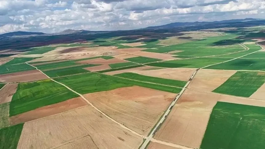 30 ilde 312 arsa satışa çıkıyor! İşte o iller...