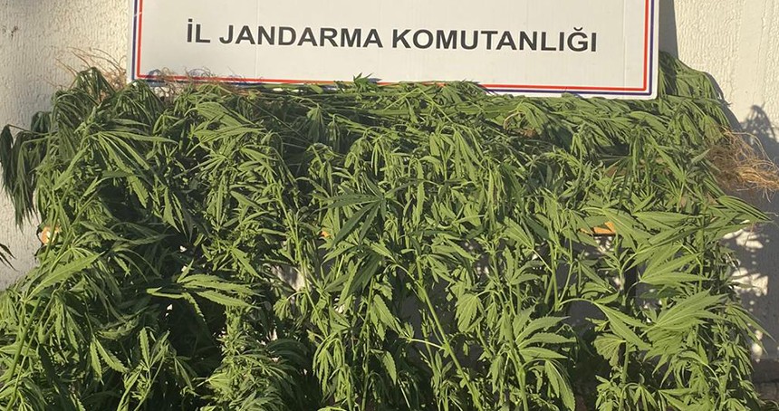 Şanlıurfa’da uyuşturucu operasyonu