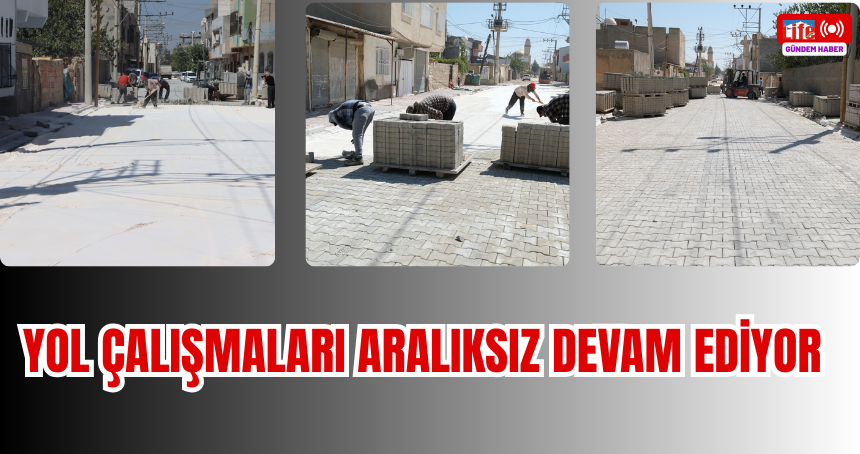 Yol Çalışmaları Aralıksız Devam Ediyor