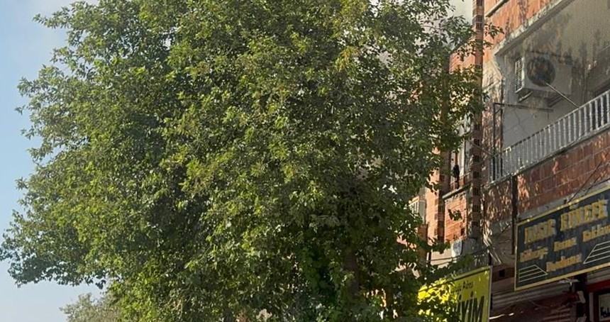 Şanlıurfa'da apartmanda çıkan yangın söndürüldü