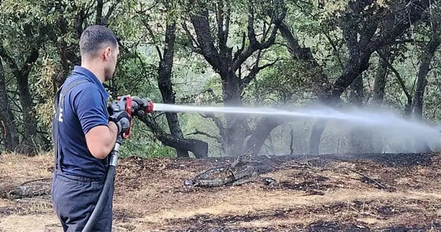 Siirt’te orman yangını: 30 hektarlık alan kül oldu