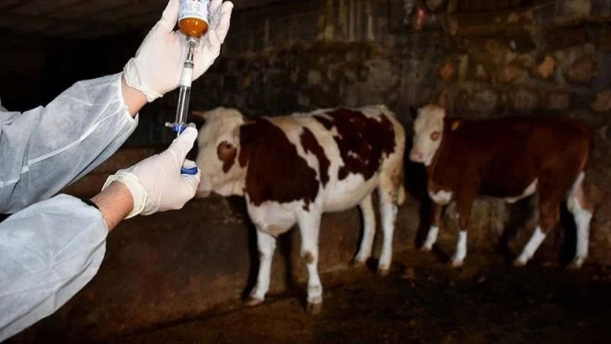Yeni salgın bir İle daha sıçradı