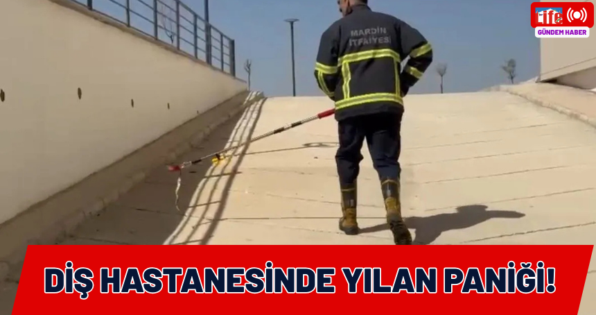 Diş Hastanesinde yılan paniği!