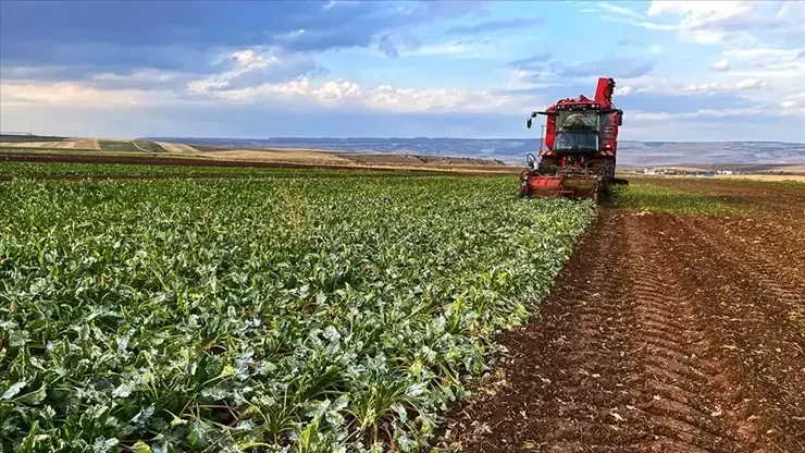 Tarımda yeni dönem: Tarlası olan herkesi ilgilendiriyor