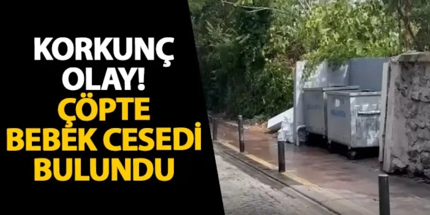 İstanbul Beşiktaş’ta Çöpte Yanmış Bebeğin cansız bedeni Bulundu