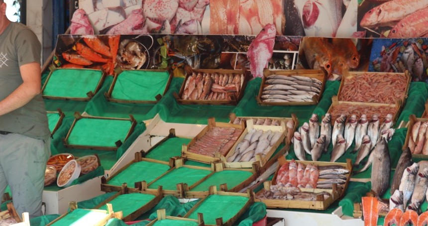 Balıkçılar henüz umduğunu bulamadı