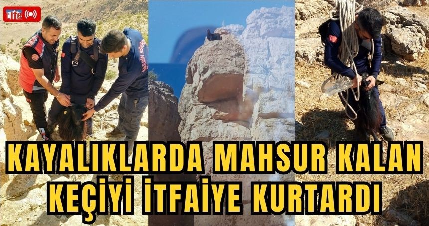 Mardin'de kayalıklarda mahsur kalan keçiyi itfaiye kurtardı