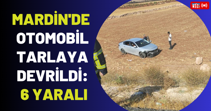 Mardin'de otomobil tarlaya devrildi: 6 yaralı