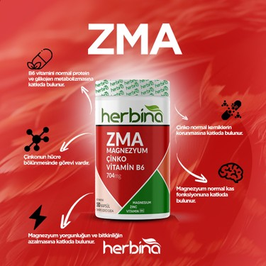 Çinko, Magnezyum, B6: Performans Üçlüsü ZMA Hakkında Her Şey