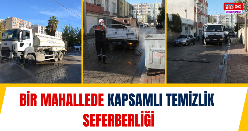 Bir mahallede kapsamlı temizlik seferberliği