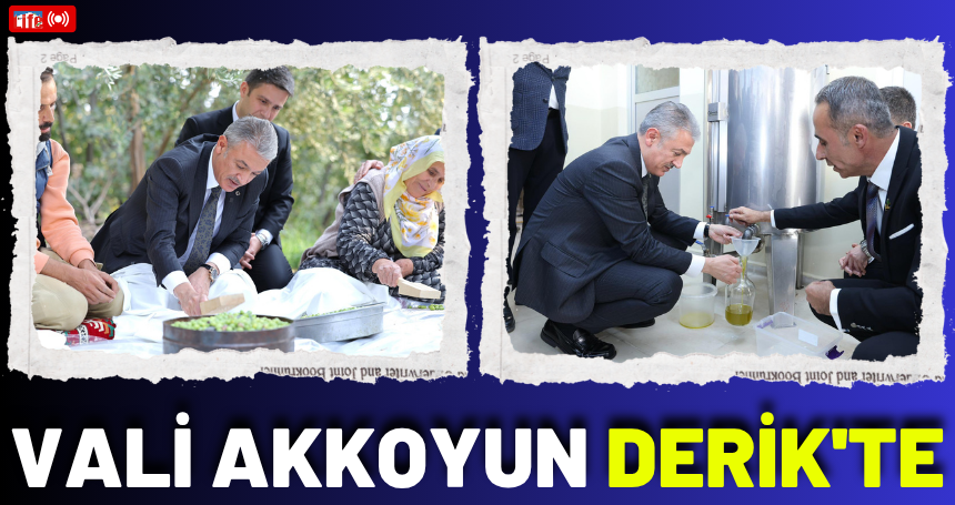 Vali Akkoyun Derik'te