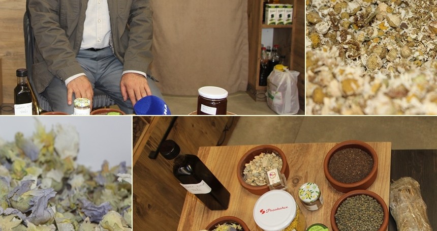 Bağışıklık sistemini güçlü tutmak için şifalı bitkilerle kışa hazırlık