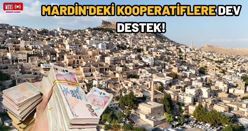 Mardin'deki kooperatiflere dev destek!