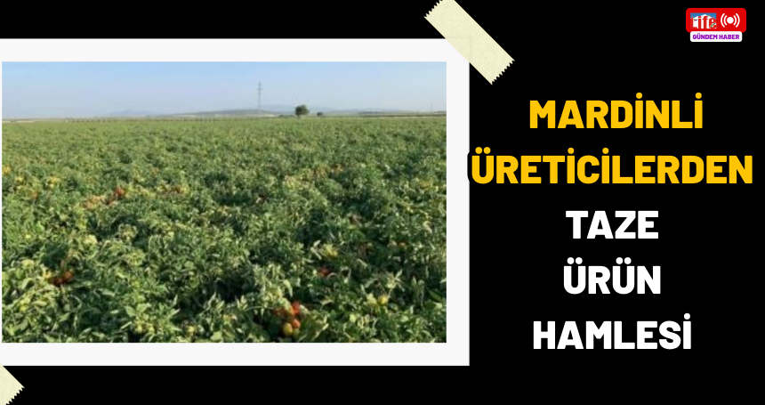 Mardinli üreticilerden taze ürün hamlesi
