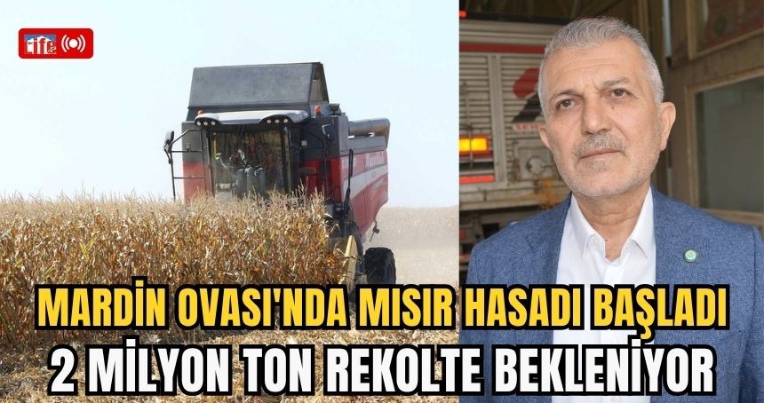 Mardin Ovası'nda mısır hasadı başladı; 2 milyon ton rekolte bekleniyor