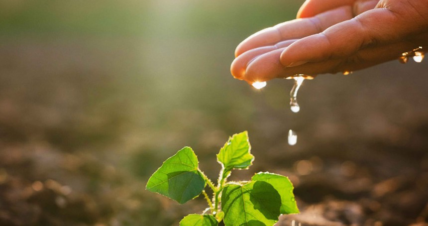 TEMA Vakfı’ndan Şanlıurfa için kritik çağrı: Toprak kaybı gıda ve iklimi tehdit ediyor