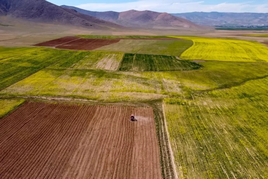 Bu haber arsa sahiplerini ilgilendiriyor! Bakın devlet İmarda kazancın yüzde kaçını alacak...