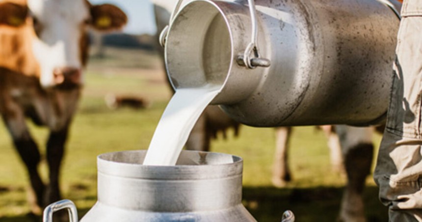 TİGEM, 74 bin tondan fazla süt satışı için ihaleye çıkıyor