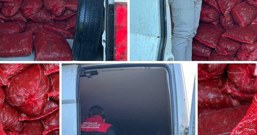 Bursa’da 2,5 ton kaçak midyeye el konuldu