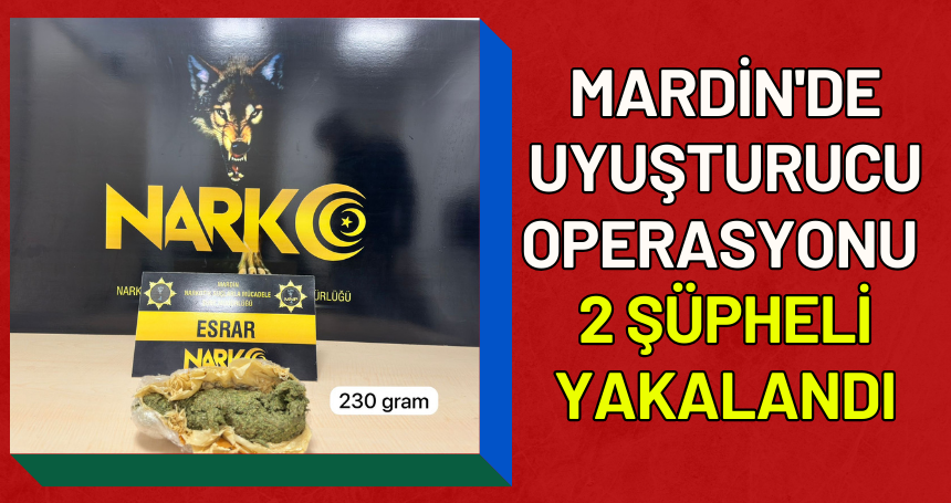 Mardin'de uyuşturucu operasyonunda 2 şüpheli yakalandı