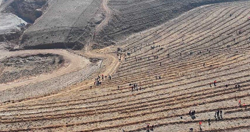 Konya’da “Geleceğe Nefes” için 15 bin fidan toprakla buluşturuldu
