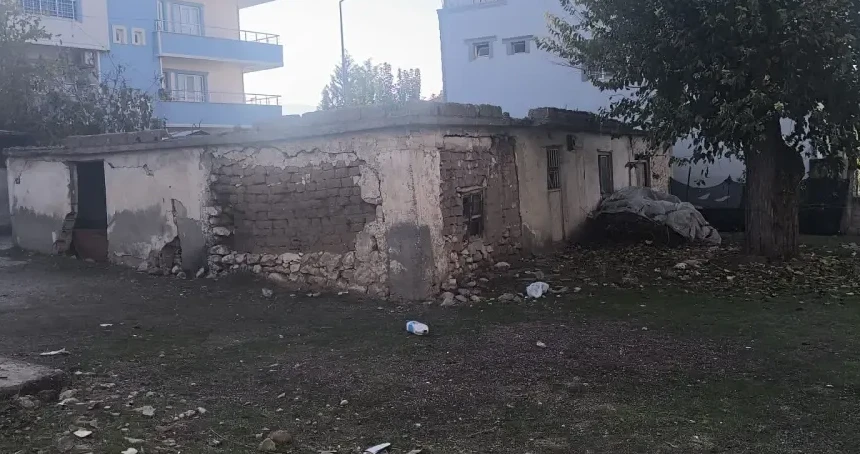 Filmleri aratmadı: Ailesinden para almak için bakın ne yaptı