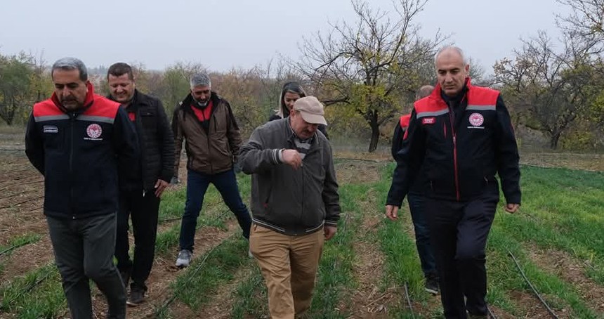 Dünya kayısı başkenti Malatya'da safran üretimi