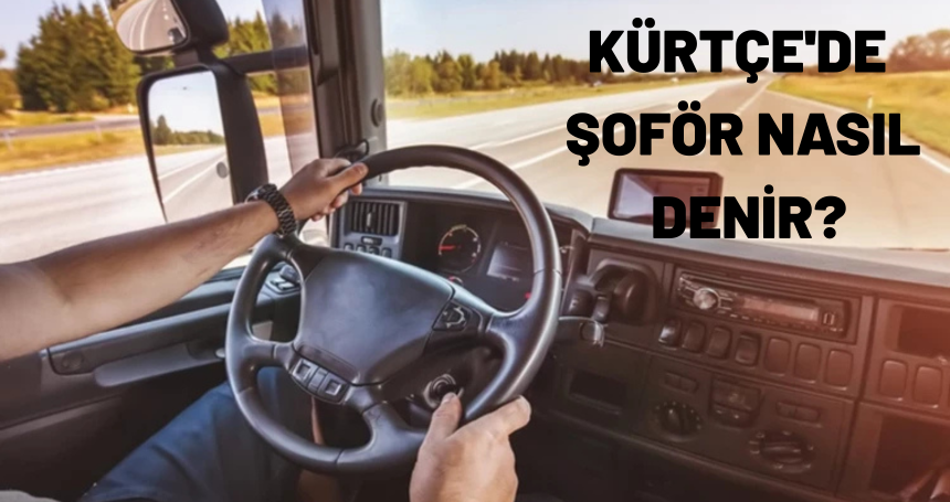 Kürtçe şoför ne demek? Kürtçe'de şoför nasıl denir?