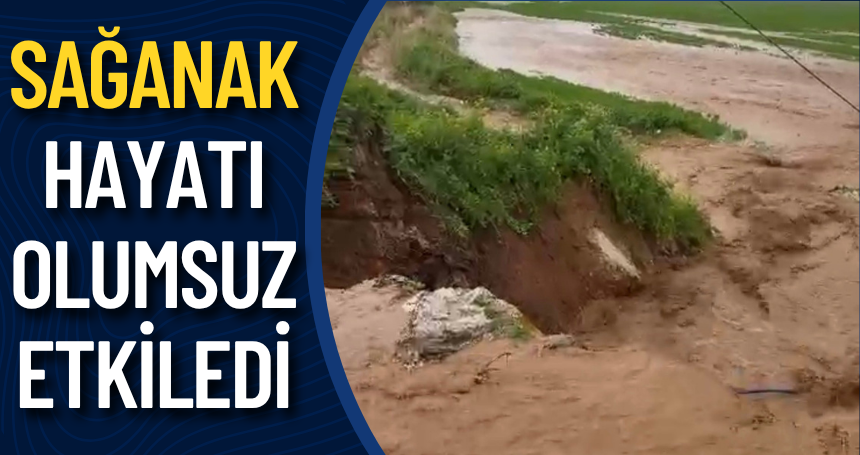 Mardin'de sağanak hayatı olumsuz etkiledi