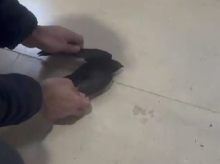 Image description